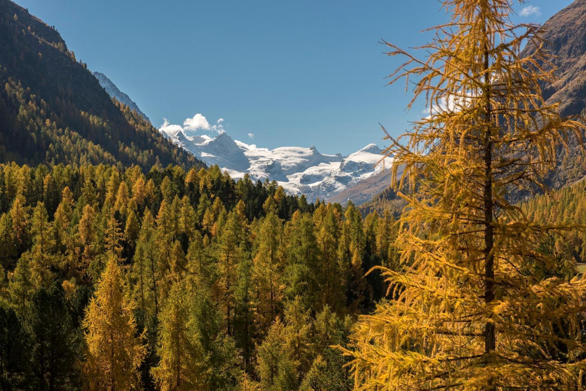 Hotel Saratz Pontresina Eksteriør bilde